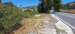 1000 m² Plot