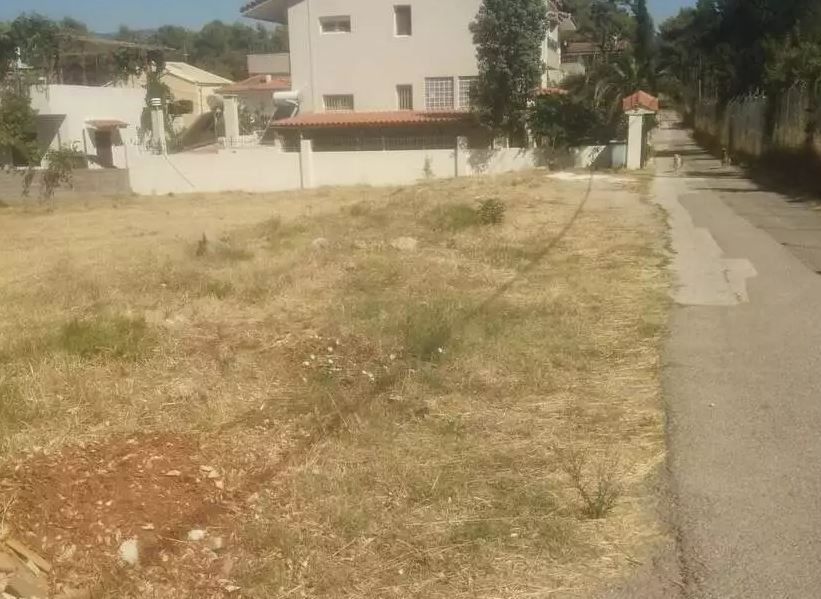 Οικόπεδο 2800τ.μ.