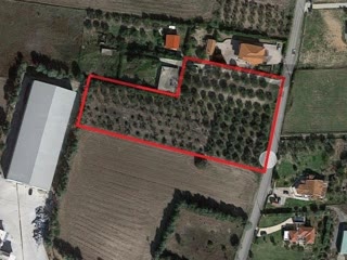 Участок 4200 м²