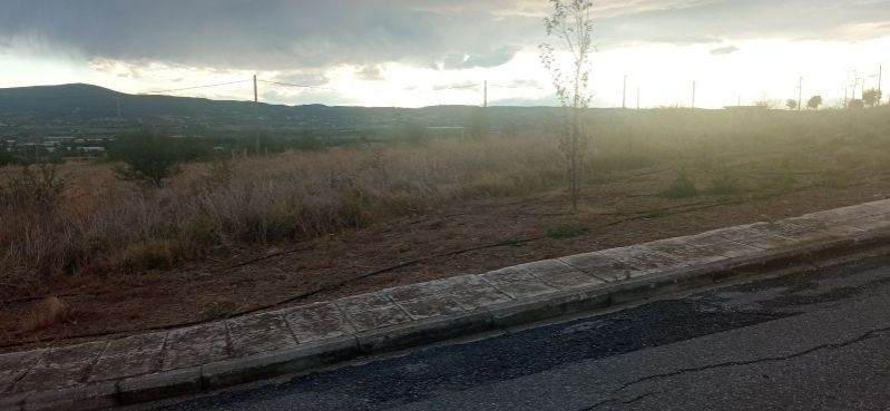 404 m² Plot