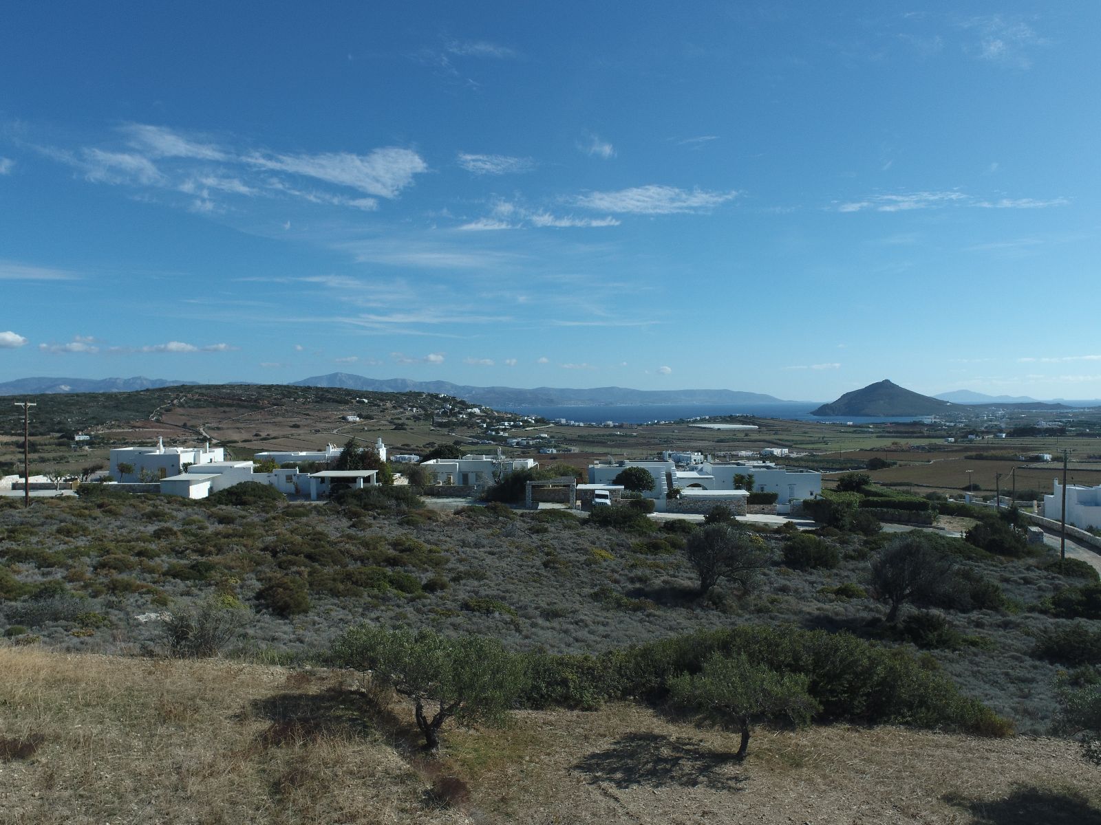 4000 m² Plot