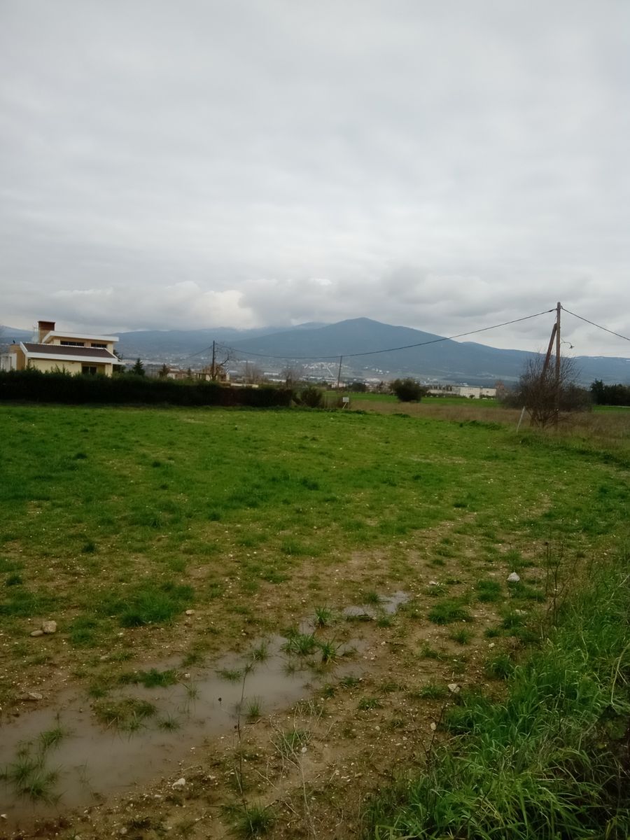 4865 m² Parcel