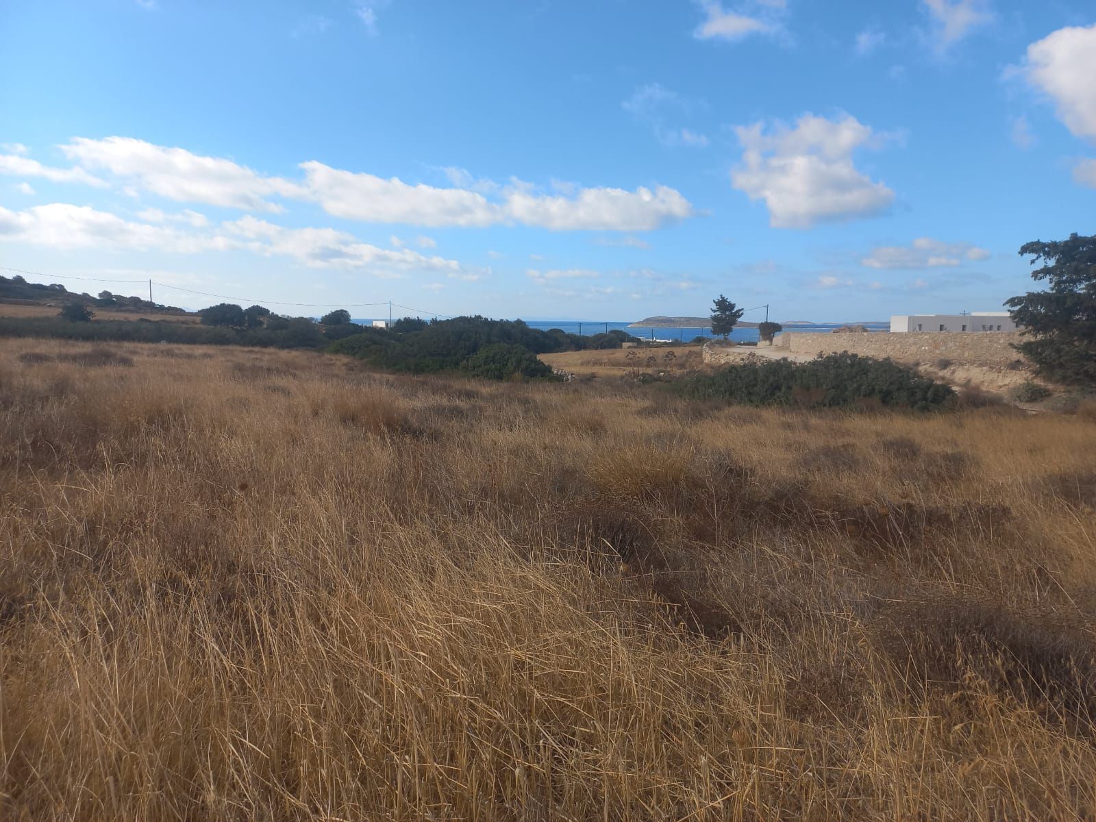 Parcel of 6200 m²