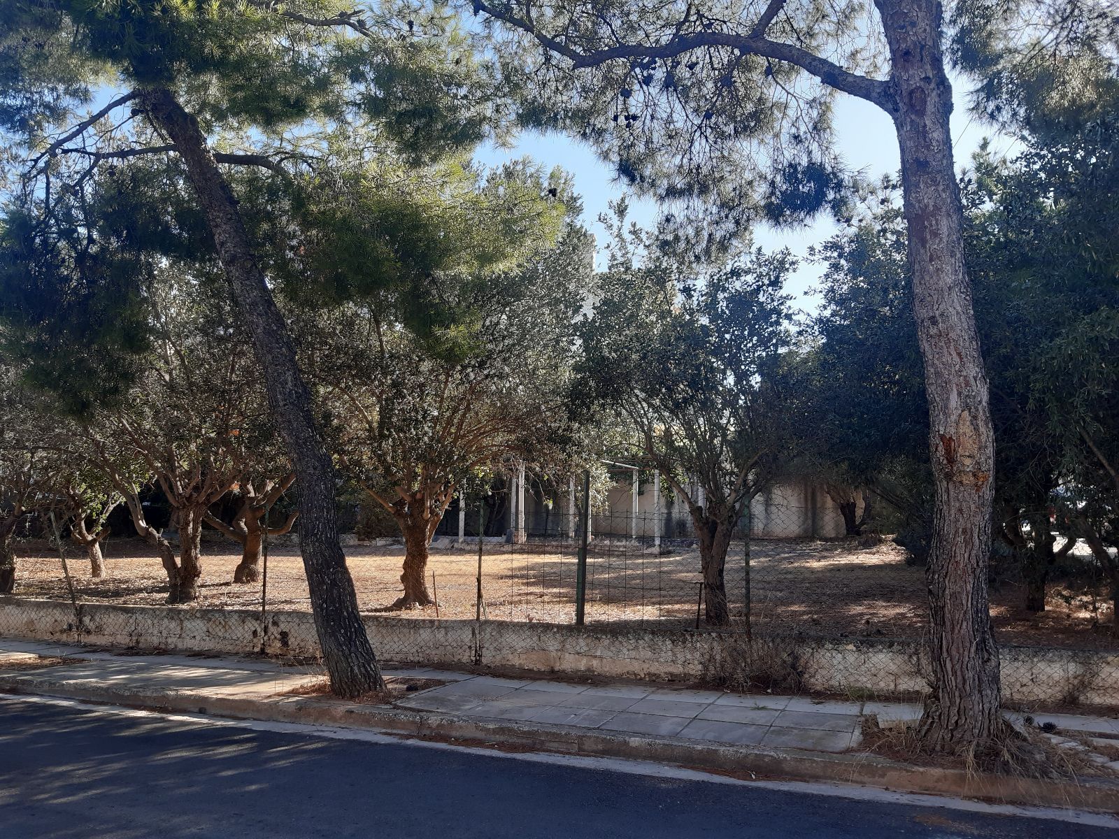 Οικόπεδο 718 τ.μ.