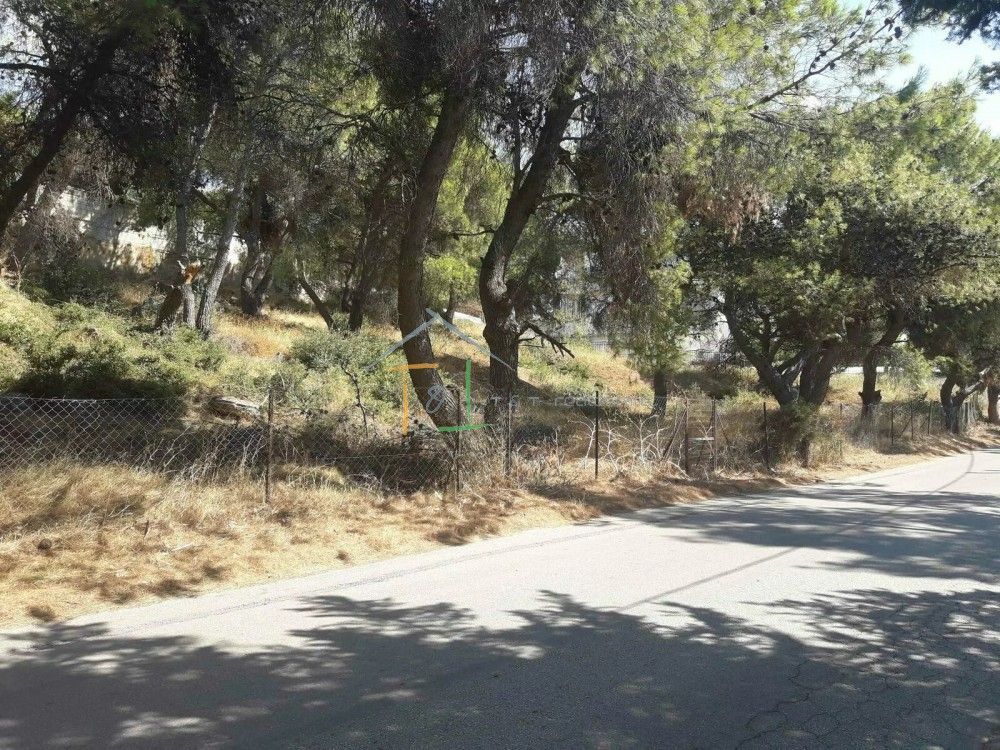 Οικόπεδο 976τ.μ.