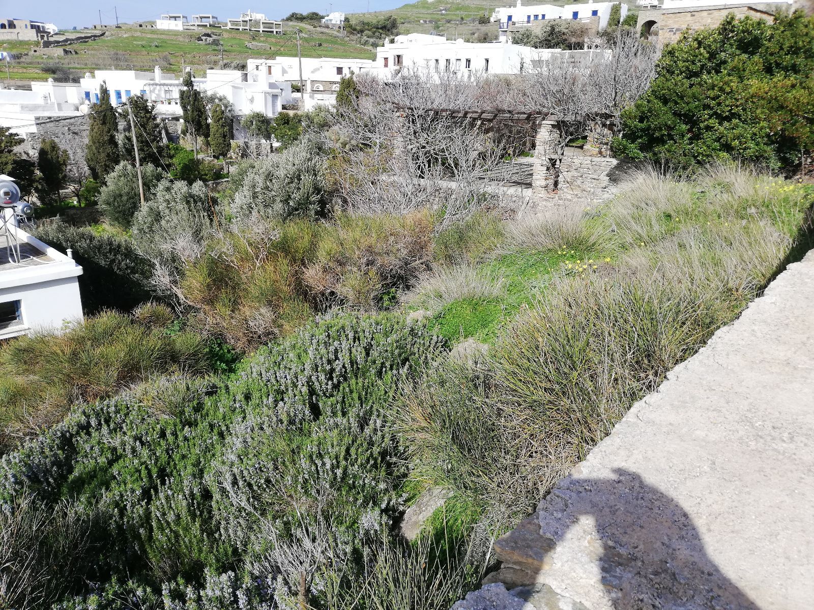423 m² Plot
