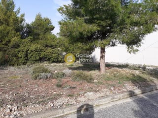 280 m² Plot
