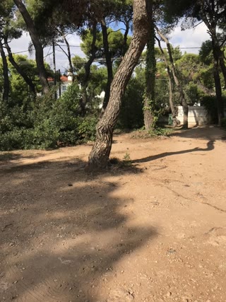 Участок 2100 м²