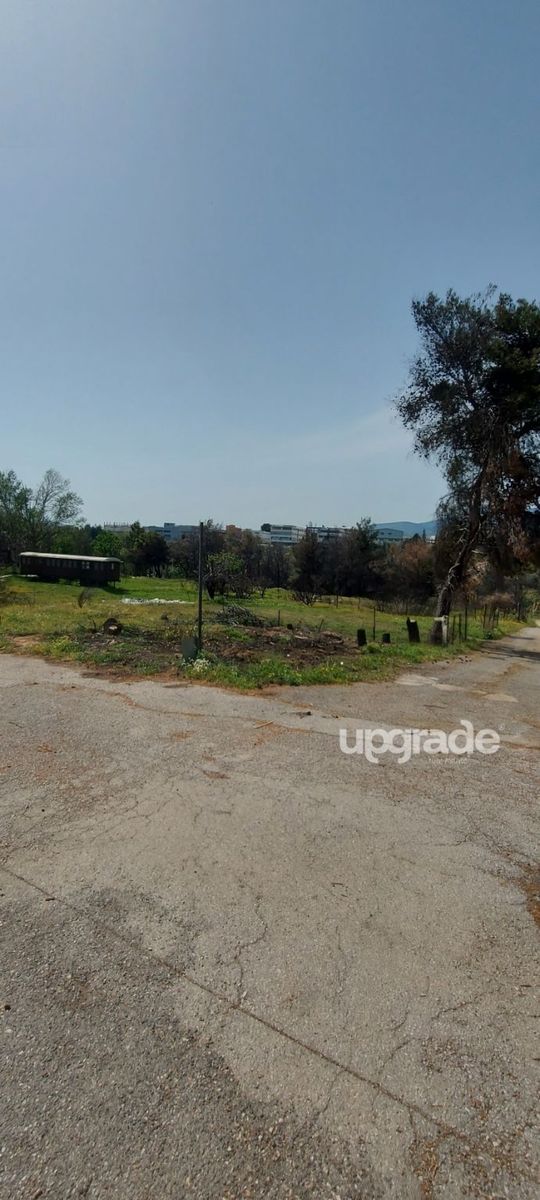 Οικόπεδο 283 τ.μ.