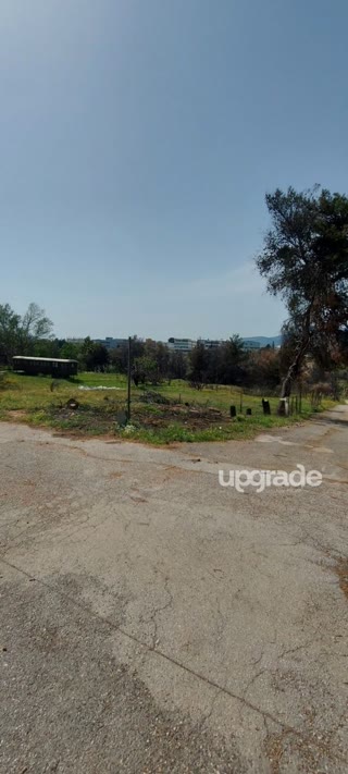 283 m² Plot