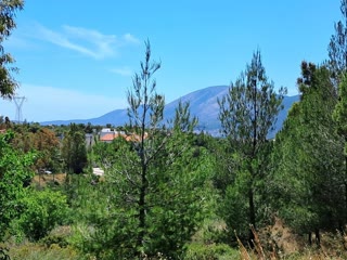 948 m² Plot