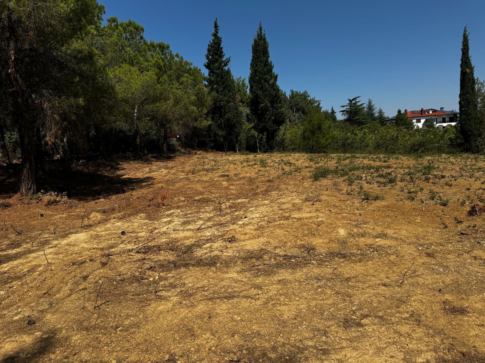 Οικόπεδο 3600 τ.μ.