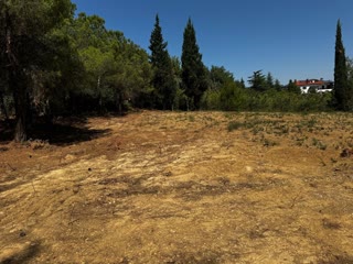 3600 m² Plot