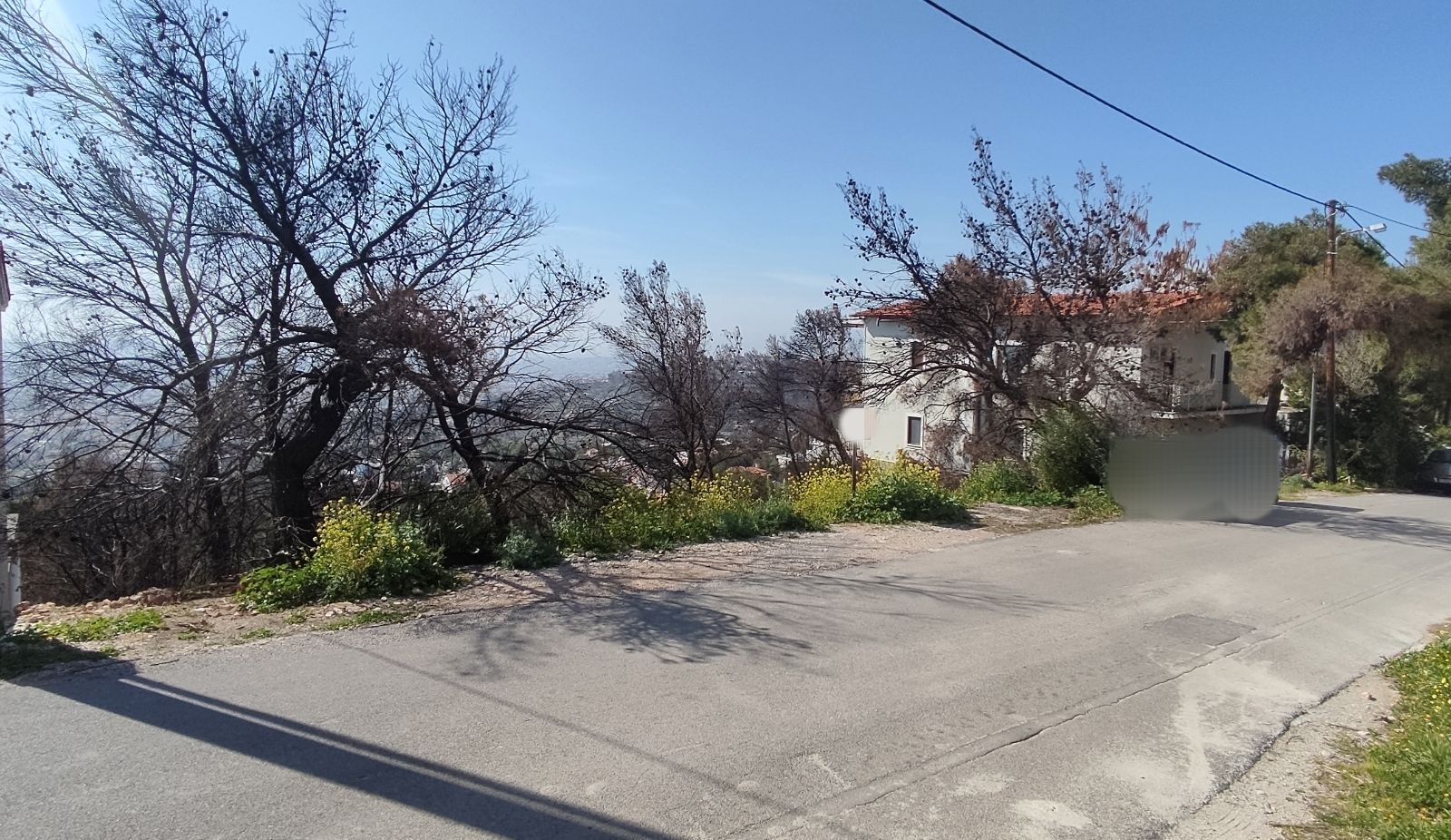 1095 m² Plot