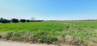 Участок 4600 м²