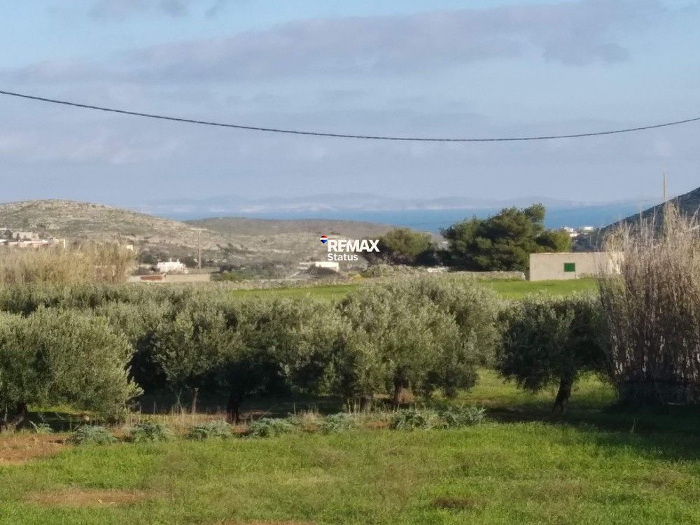2782 m² Parcel