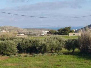 2782 m² Parcel