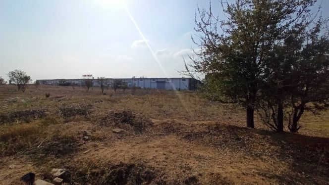 1125 m² Plot
