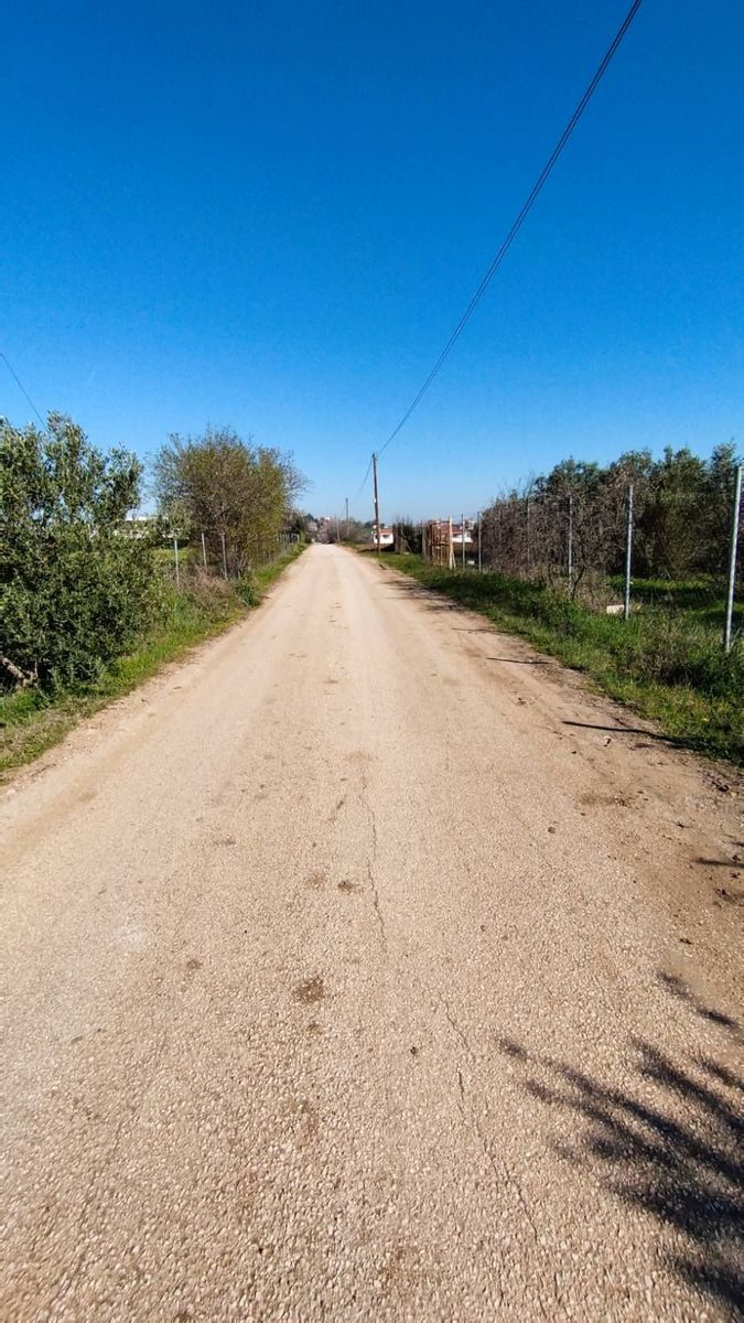 5800 m² Parcel