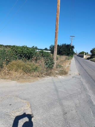 6500 m² Parcel