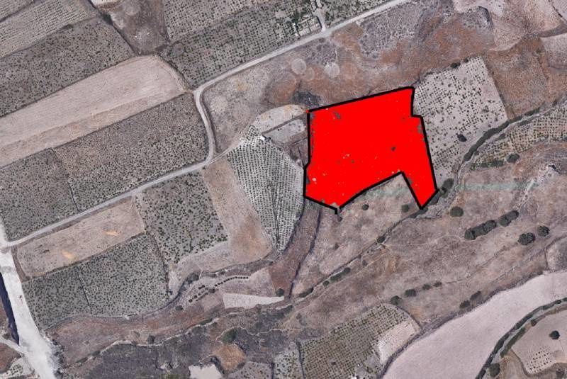 Участок 8240 м²