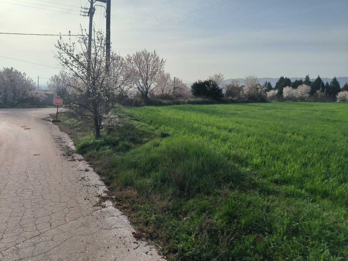 24000 m² Parcel