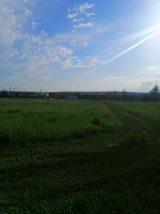 For Sale Land in the Field of Wonders