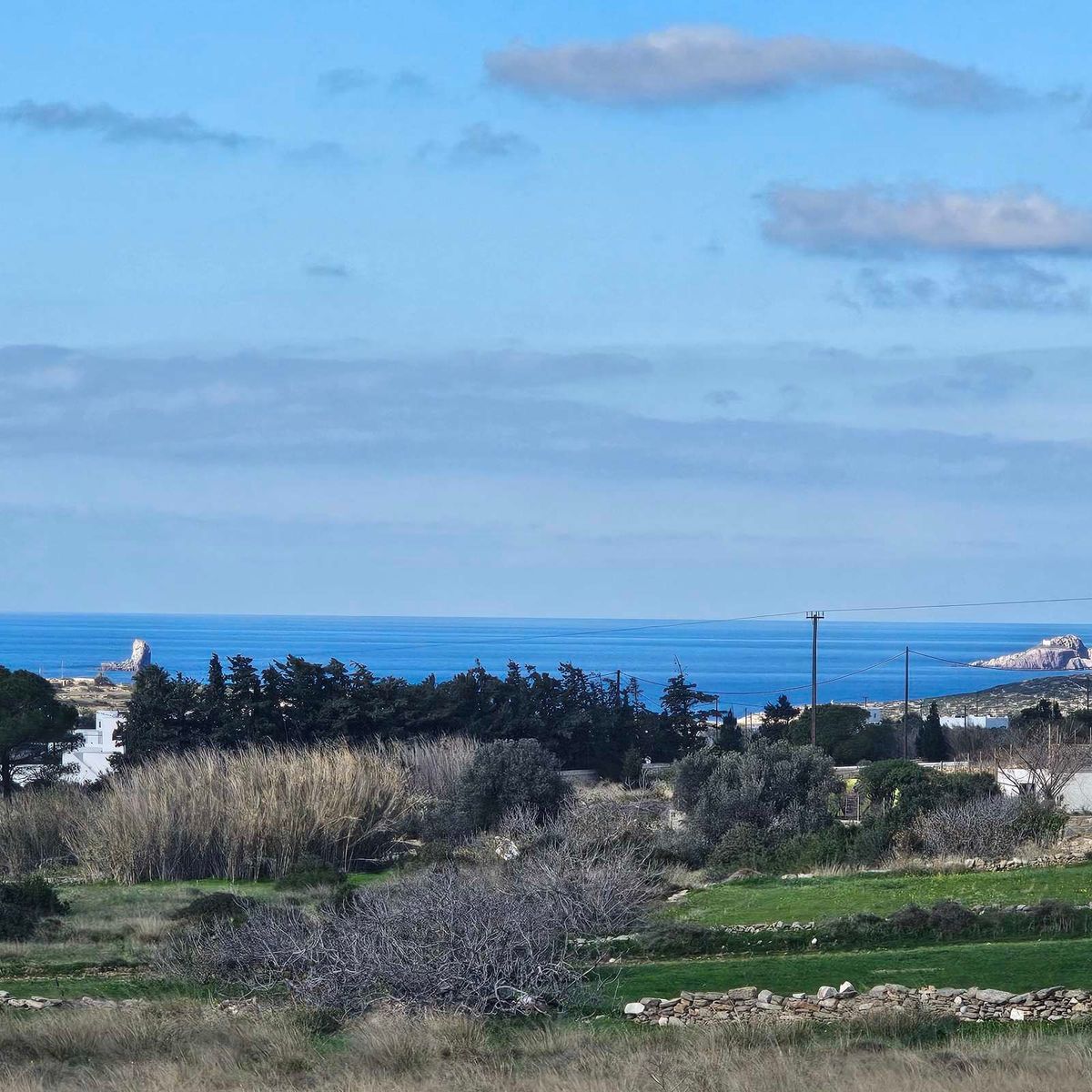 Αγροτεμάχιο 5346 τ.μ.