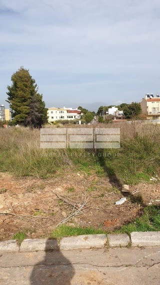 1650 m² Plot