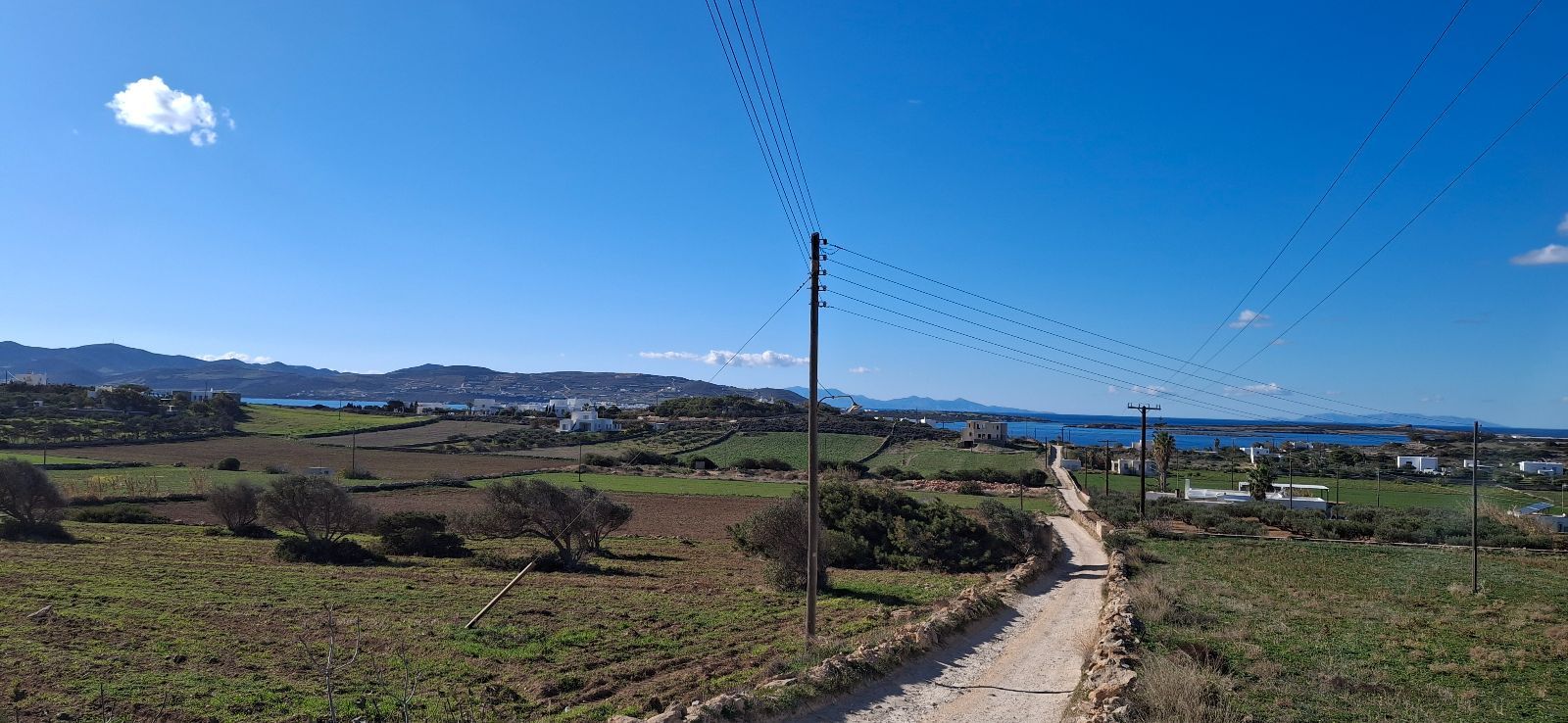 Αγροτεμάχιο 14000 τ.μ.