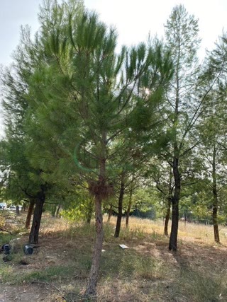 360 m² Plot