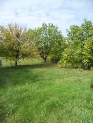 Продам участок земли 10 сот Солоницевка