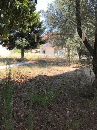 626 m² Plot