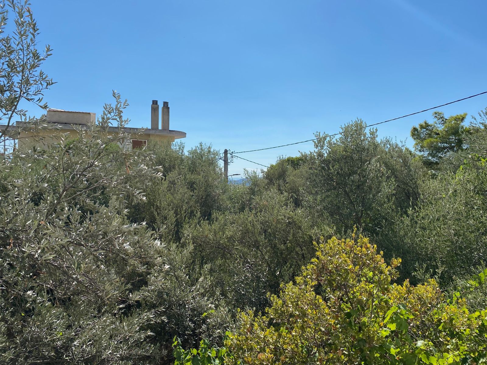 607 m² Plot