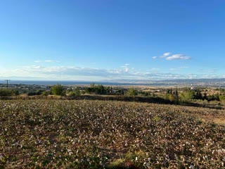 Участок 5129 м²