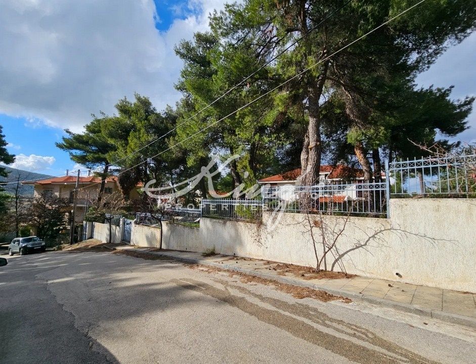 770 m² Plot