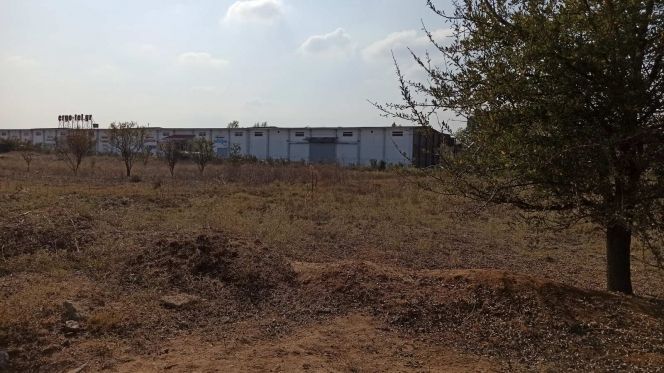 1125 m² Plot