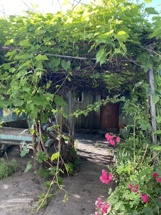 Продам ділянку з будівлею під знесення в с. Бабаї