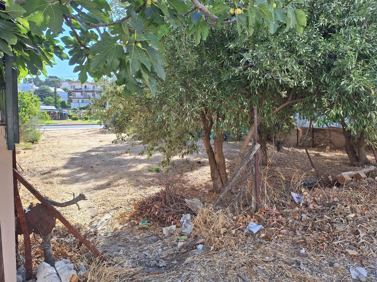 489 m² Plot