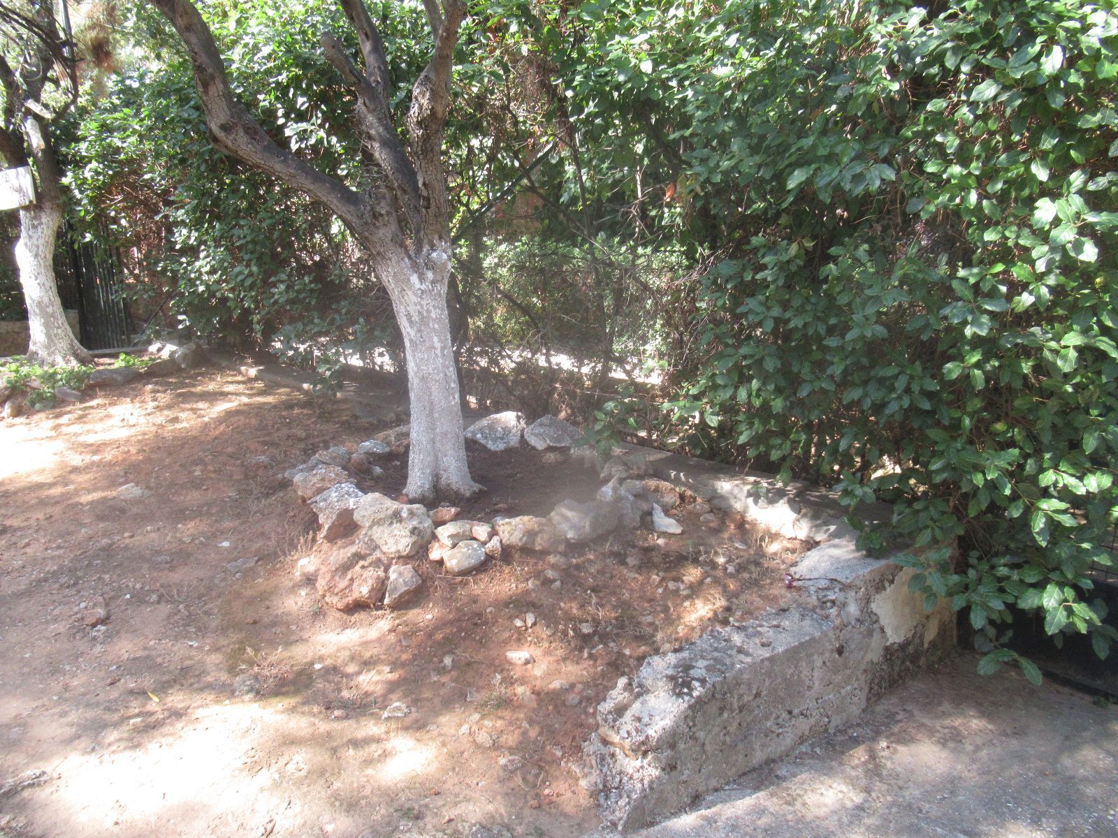 Οικόπεδο 1193τ.μ.
