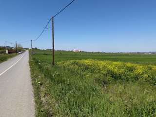 4650 m² Parcel
