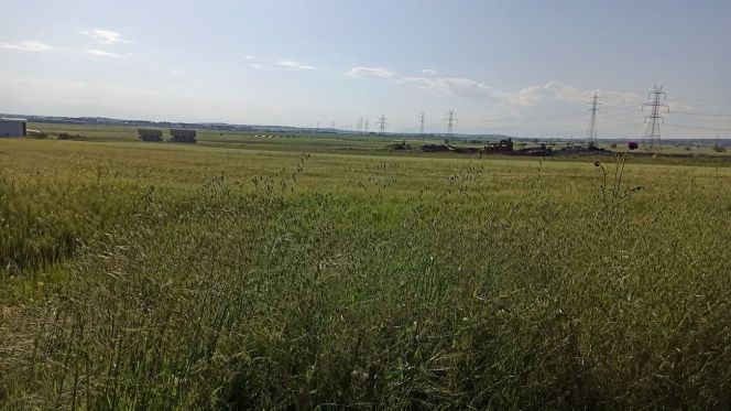 Участок 9126 м²