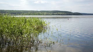 For sale: land with a house on the shore of the Saltiv Reservoir