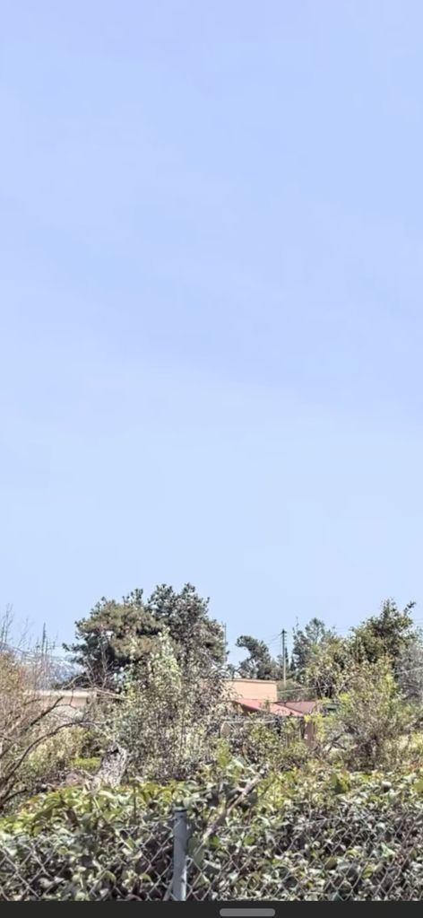 Οικόπεδο 2600 τ.μ.
