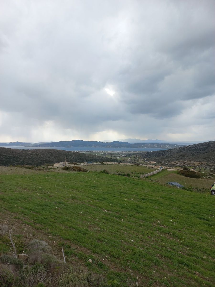 8000 m² Parcel