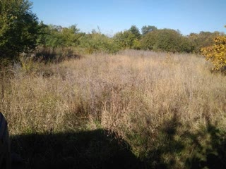 For sale 2 plots of land in ST "Volodar", Derhachi