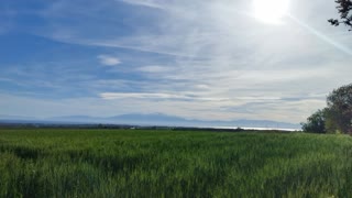 10100 m² Parcel