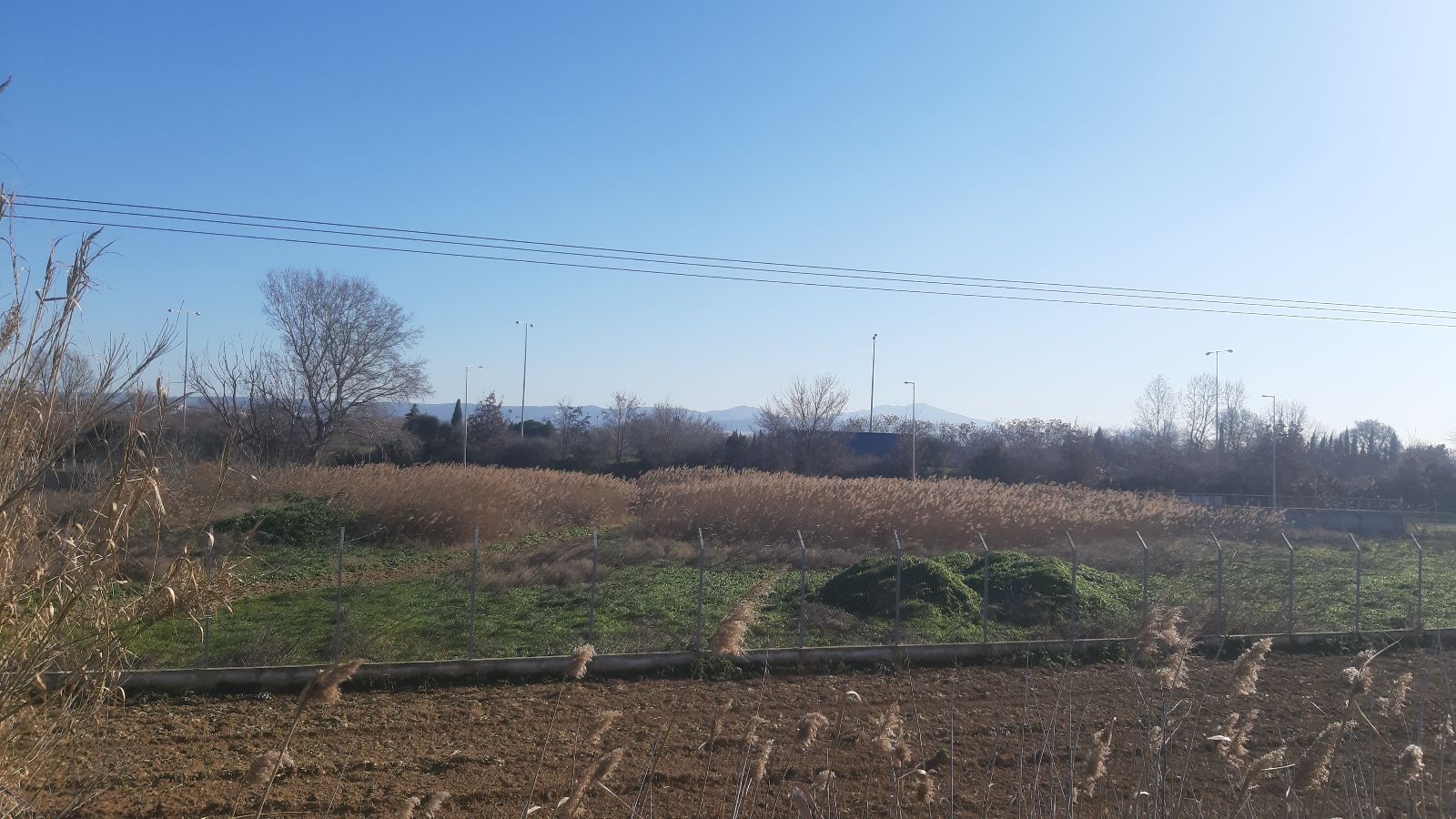 6480 m² Parcel