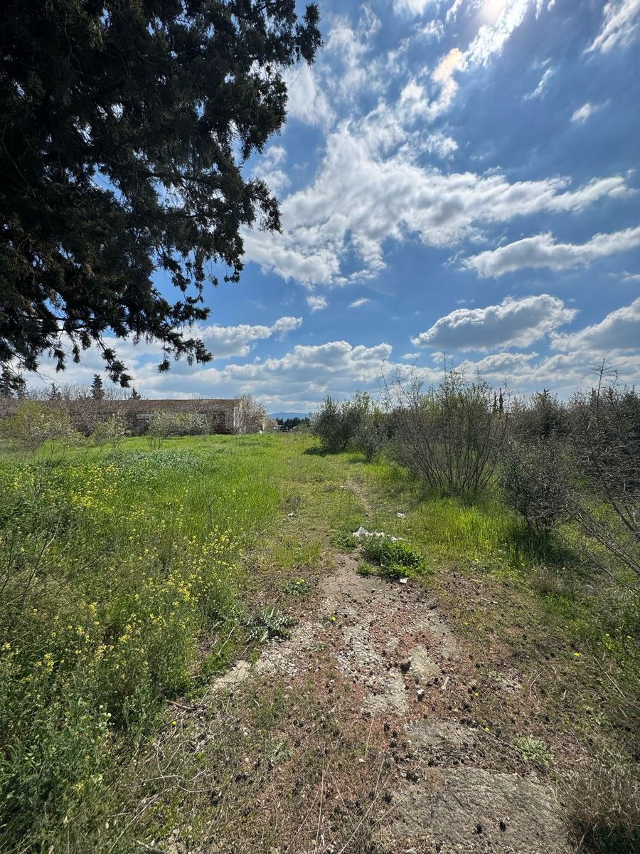 20,000 m² Plot