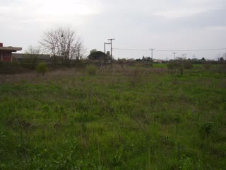 15800 m² Parcel